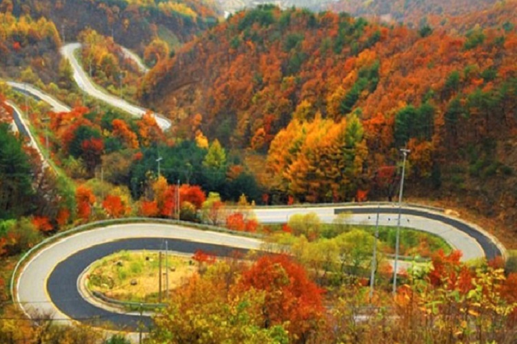 Navaran 11 best driving roads in Iran